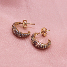 Load image into Gallery viewer, Shimmering Hoops Earrings
