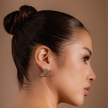 Load image into Gallery viewer, Bi Color Earrings
